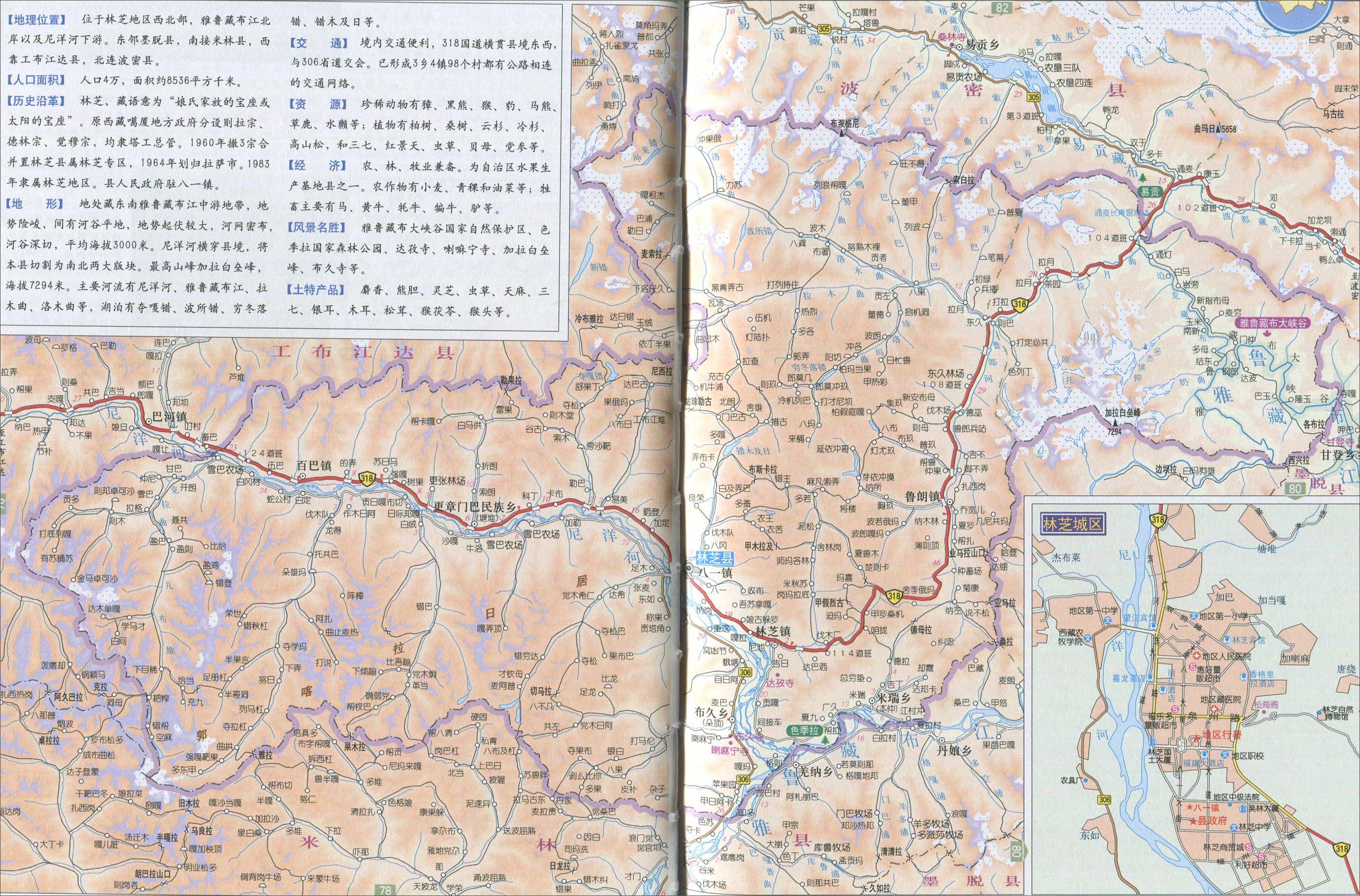 林芝县地图图片